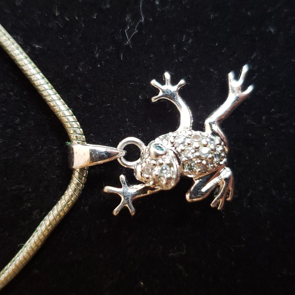 Energetix chain with frog pendant